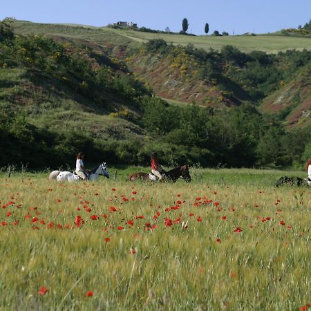 Гостевой дом Il Poggio Челле-Суль-Риго Экстерьер фото